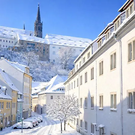 Fynbos In Der Historischen Altstadt, Loggia, Parkplatz Meißen