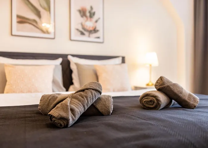 Fynbos In Der Historischen Altstadt, Loggia, Parkplatz * Meißen