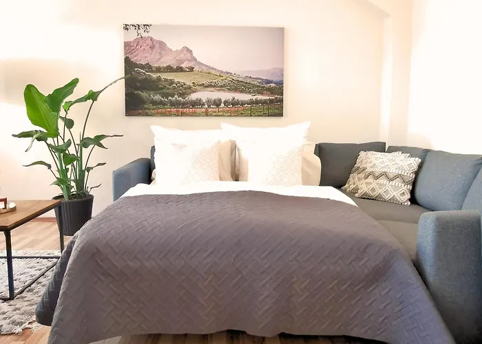 Fynbos In Der Historischen Altstadt, Loggia, Parkplatz * Meißen