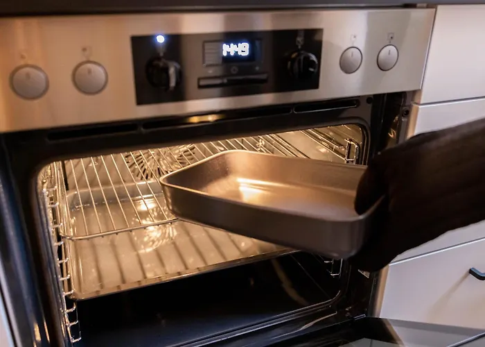 Fynbos In Der Historischen Altstadt, Loggia, Parkplatz Meißen
