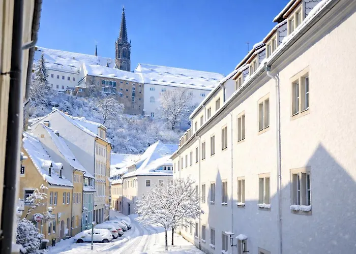 Fynbos In Der Historischen Altstadt, Loggia, Parkplatz Meißen